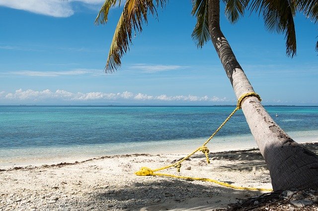 Free download Laughing Bird Caye Mooring -  free photo or picture to be edited with GIMP online image editor