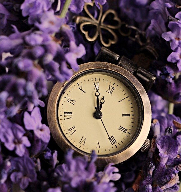 Free download lavender clock lucky clover free picture to be edited with GIMP free online image editor