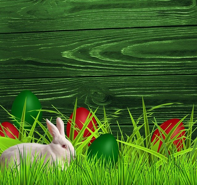 Free download Lawn Nature Rabbit -  free illustration to be edited with GIMP free online image editor