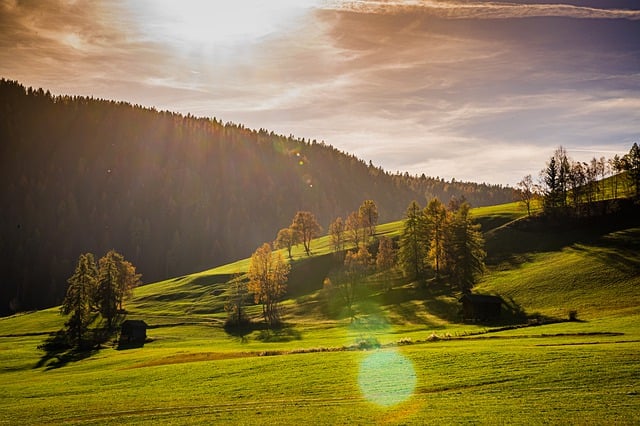 GIMPで編集できる芝生、森、山、夕日の無料画像を無料でダウンロード無料のオンライン画像エディター
