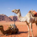 LC  screen for extension Chrome web store in OffiDocs Chromium