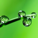 Leaf and water drop  screen for extension Chrome web store in OffiDocs Chromium