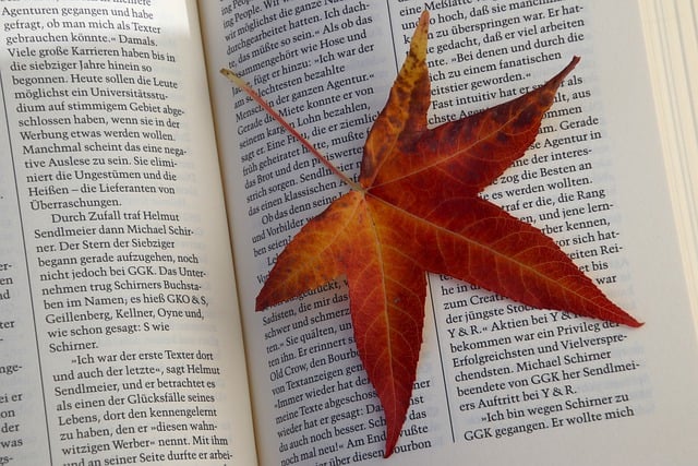 Free download leaf autumn book pages maple leaf free picture to be edited with GIMP free online image editor