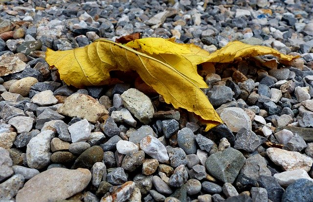 Free picture Leaf Dead Gravel -  to be edited by GIMP free image editor by OffiDocs