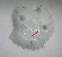 Free download Leaf dish free photo or picture to be edited with GIMP online image editor