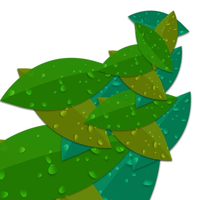 Free download Leaf Foliage Colorful -  free illustration to be edited with GIMP free online image editor