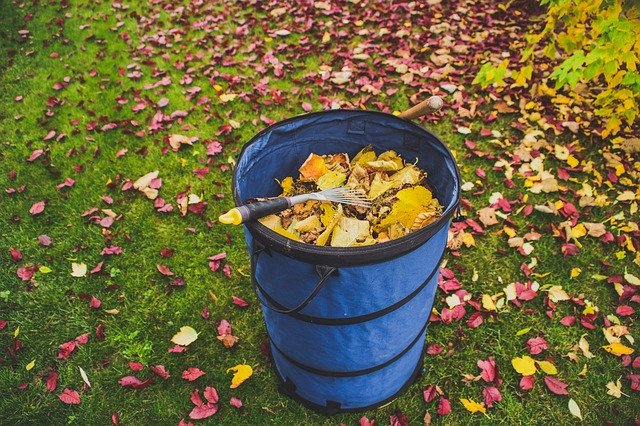 Безкоштовно завантажте Leaf Garden Fall Yard - безкоштовну фотографію або зображення для редагування за допомогою онлайн-редактора зображень GIMP