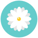 Leaf Reflection Rose Yellow Flower  screen for extension Chrome web store in OffiDocs Chromium