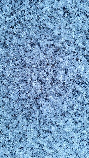 Free download Leann Snowflakes Winter -  free photo or picture to be edited with GIMP online image editor