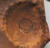 Free download Leather Peytral Plates free photo or picture to be edited with GIMP online image editor