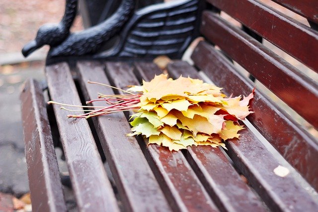 Unduh gratis Leaves Autumn Shop - foto atau gambar gratis untuk diedit dengan editor gambar online GIMP