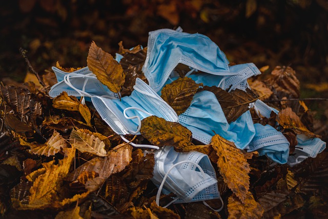 Free download leaves face masks pollution free picture to be edited with GIMP free online image editor