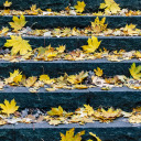 Leaves fall on the steps  screen for extension Chrome web store in OffiDocs Chromium