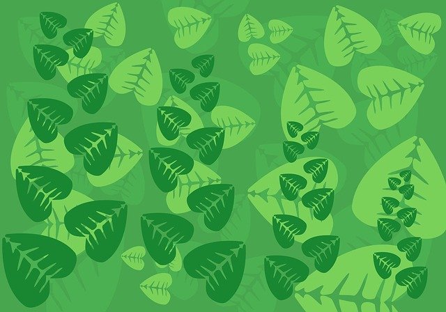 Download grátis Leaves Leaf Background - ilustração gratuita a ser editada com o editor de imagens online gratuito GIMP