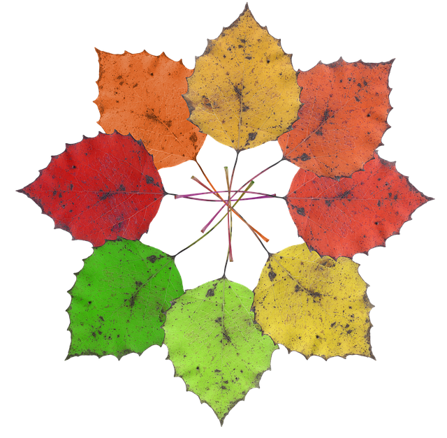 Descarga gratuita Leaves Leaf Pattern: foto o imagen gratuita para editar con el editor de imágenes en línea GIMP