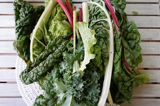 Free download leaves salad vegetables swiss chard free picture to be edited with GIMP free online image editor