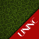 Leaves Theme  screen for extension Chrome web store in OffiDocs Chromium