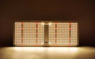 Free download LED Grow Lights free photo or picture to be edited with GIMP online image editor