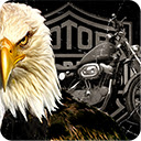 Legendary Harley Davidson  screen for extension Chrome web store in OffiDocs Chromium