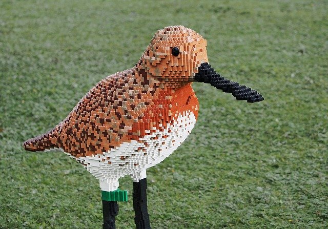 Free download lego sandpiper spoon billed bird free picture to be edited with GIMP free online image editor