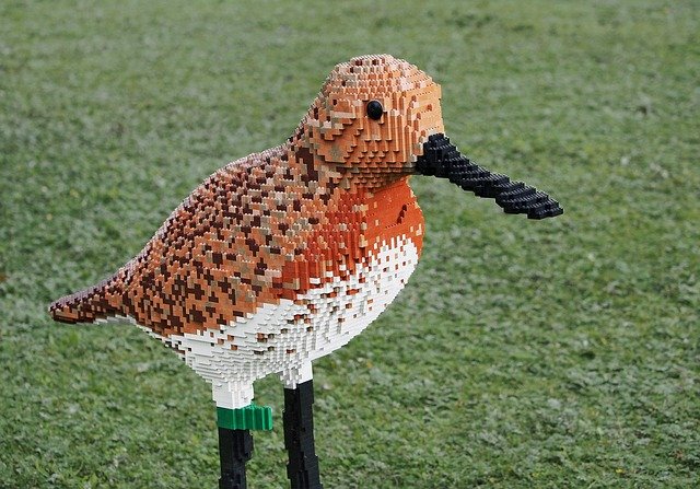 Descărcare gratuită lego sandpiper spoon billed bird imagine gratuită pentru a fi editată cu editorul de imagini online gratuit GIMP