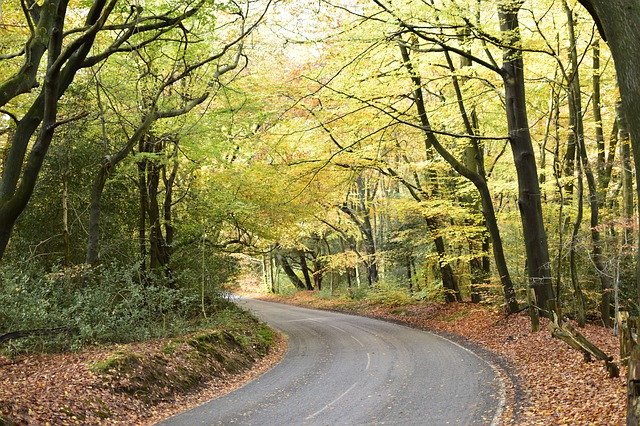 Bezpłatne pobieranie Leith Hill England Forest Road - bezpłatne zdjęcie lub obraz do edycji za pomocą internetowego edytora obrazów GIMP