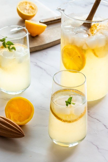 Téléchargement gratuit de limonade jus de citron boisson image gratuite de fruits à éditer avec l'éditeur d'images en ligne gratuit GIMP