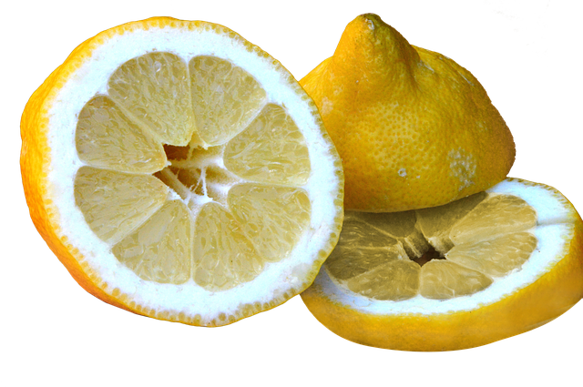 Unduh gratis Lemon Sour Sliced ​​- foto atau gambar gratis untuk diedit dengan editor gambar online GIMP