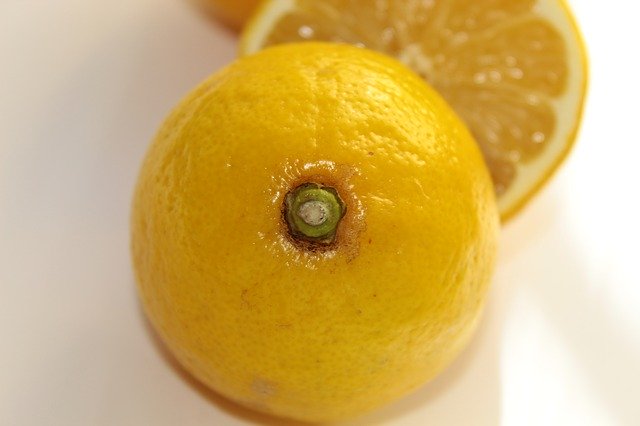 Free download Lemon White Yellow -  free photo or picture to be edited with GIMP online image editor