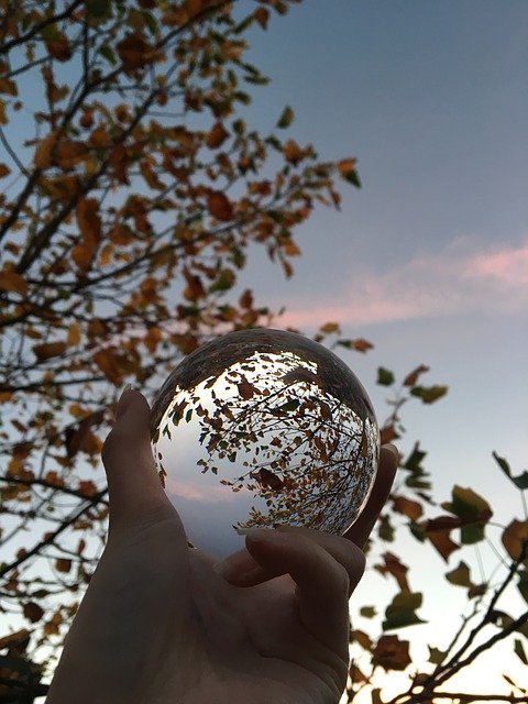 Unduh gratis Lens Ball Leaves Sky - foto atau gambar gratis untuk diedit dengan editor gambar online GIMP