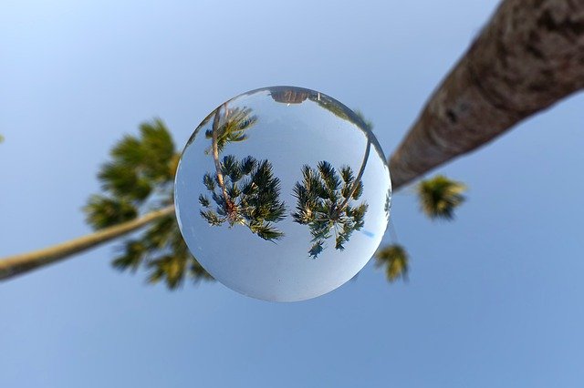 Free download Lensball Sphere Palm -  free photo or picture to be edited with GIMP online image editor
