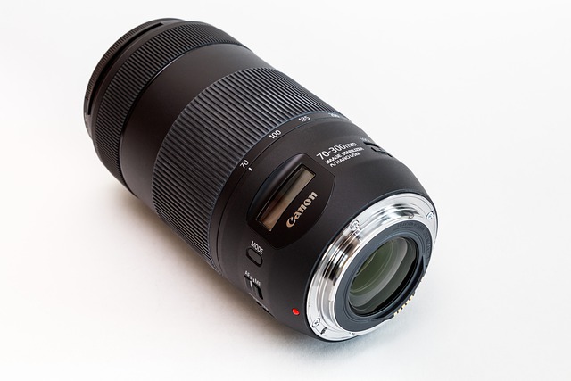 Free download lens canon zoom lens ef 70 300mm free picture to be edited with GIMP free online image editor