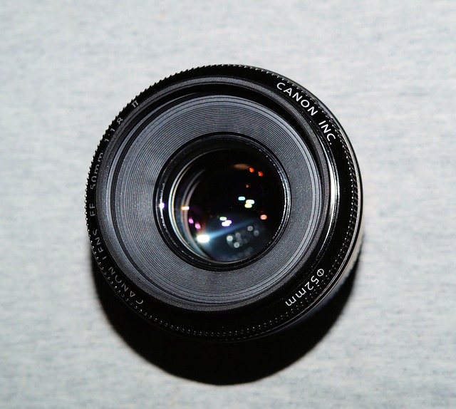 Free graphic lens photography canon eos dslr to be edited by GIMP free image editor by OffiDocs
