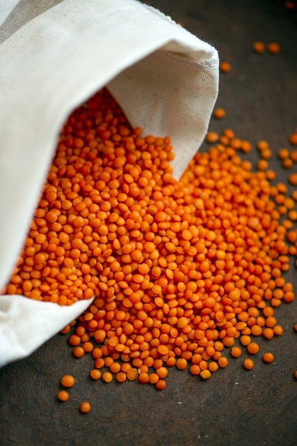 Free download lentils food beans healthy free picture to be edited with GIMP free online image editor