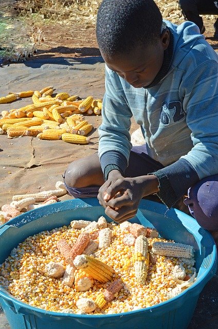 ດາວໂຫລດຟຣີ Lesotho Malealea Work - ຮູບພາບຫຼືຮູບພາບທີ່ບໍ່ເສຍຄ່າເພື່ອແກ້ໄຂດ້ວຍບັນນາທິການຮູບພາບອອນໄລນ໌ GIMP