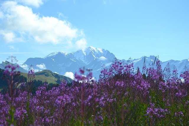 Bezpłatne pobieranie Lessaisies Alps - bezpłatne zdjęcie lub obraz do edycji za pomocą internetowego edytora obrazów GIMP