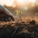 Lets plant seeds  screen for extension Chrome web store in OffiDocs Chromium