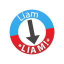 LIAM MCCABE Name Corrector  screen for extension Chrome web store in OffiDocs Chromium