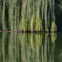 LIEU RIVERTheme  screen for extension Chrome web store in OffiDocs Chromium