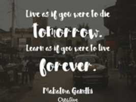 Free download Life as free photo or picture to be edited with GIMP online image editor