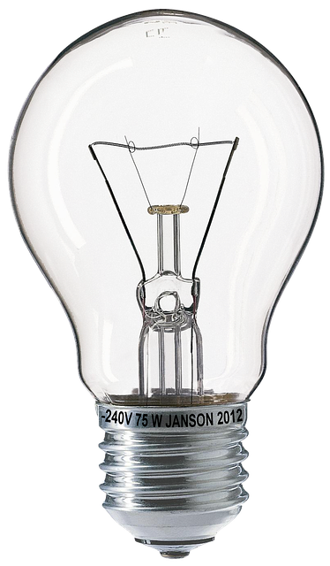 Free download lightbulb bulbs fragile 75w free picture to be edited with GIMP free online image editor