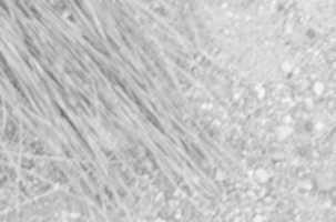 Free download Light Days free photo or picture to be edited with GIMP online image editor