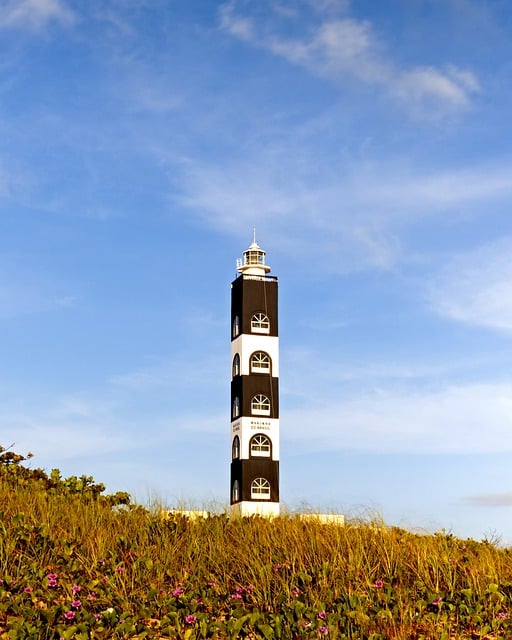 Kostenloser Download von Leuchtturm, Strand, Wiese, Gras, kostenloses Bild zur Bearbeitung mit dem kostenlosen Online-Bildeditor GIMP