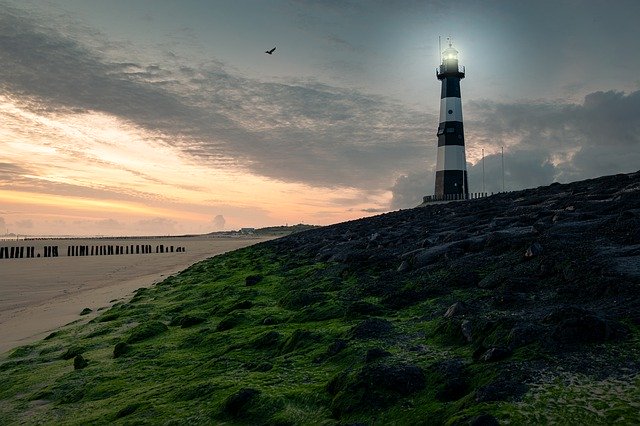 Free download Lighthouse Coast Seaweed -  free photo or picture to be edited with GIMP online image editor