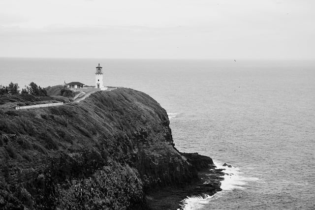 Free download lighthouse sea hill black and white free picture to be edited with GIMP free online image editor