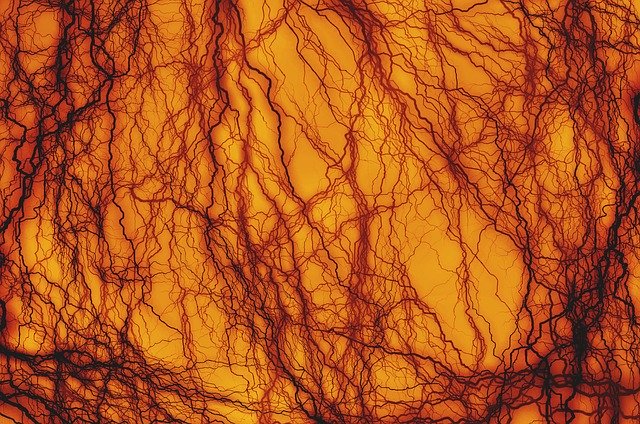 Free download Lightning Internal Blood Vessel -  free illustration to be edited with GIMP free online image editor
