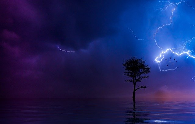 Free download Lightning Tree Silhouette -  free photo or picture to be edited with GIMP online image editor