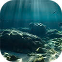 Light shines through the sea surface to a coral reef full of life  screen for extension Chrome web store in OffiDocs Chromium