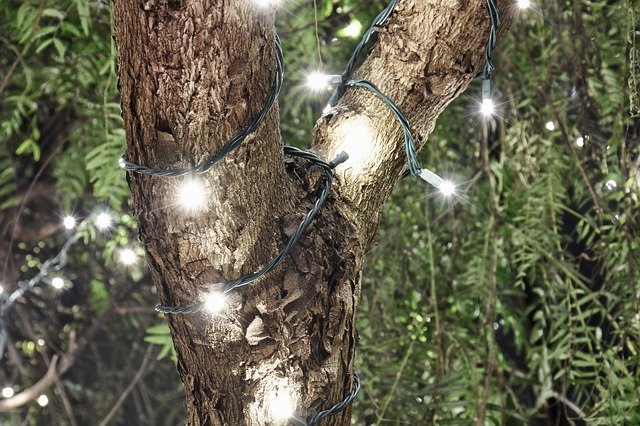 ດາວໂຫຼດຟຣີ Light Tree Landscape - ຮູບພາບ ຫຼືຮູບພາບທີ່ບໍ່ເສຍຄ່າເພື່ອແກ້ໄຂດ້ວຍຕົວແກ້ໄຂຮູບພາບອອນໄລນ໌ GIMP