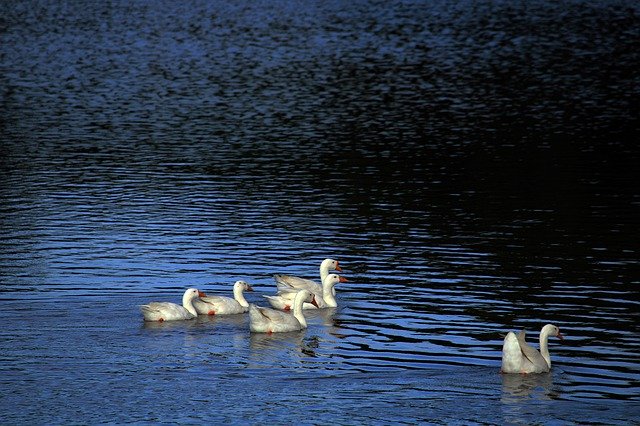 Bezpłatne pobieranie Light Water Sky - bezpłatne zdjęcie lub obraz do edycji za pomocą internetowego edytora obrazów GIMP